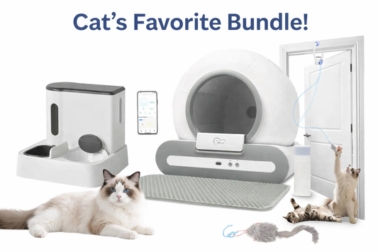 Cat's Favorite Bundles!
