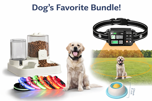 Dog's Favorite Bundle!
