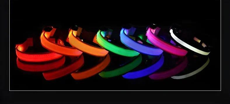 Dog Collar Nylon LED Night Safety Flashing Glow In The Dark