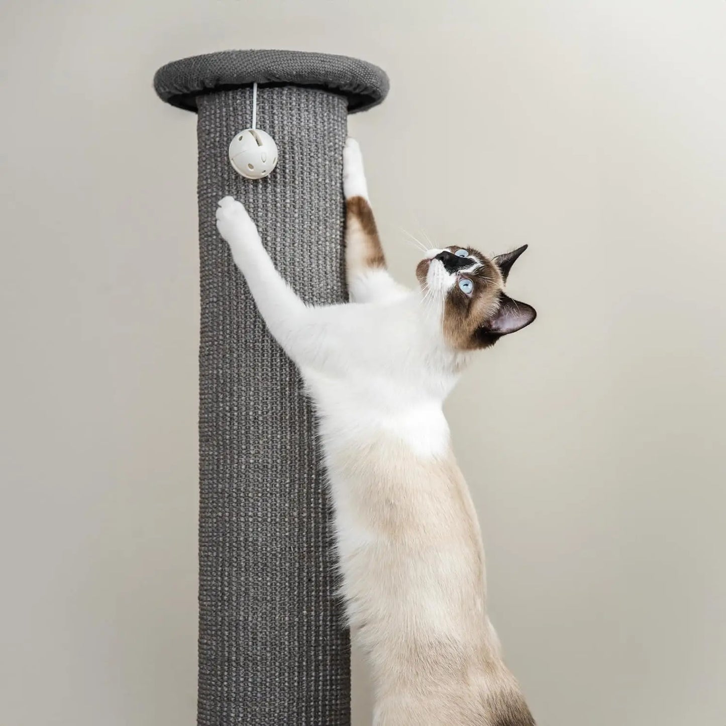 32-Inch Tall Sisal Cat Scratching Post with Sturdy Base & Jingle Toy, Easy Assembly for Indoor Cats - Gray