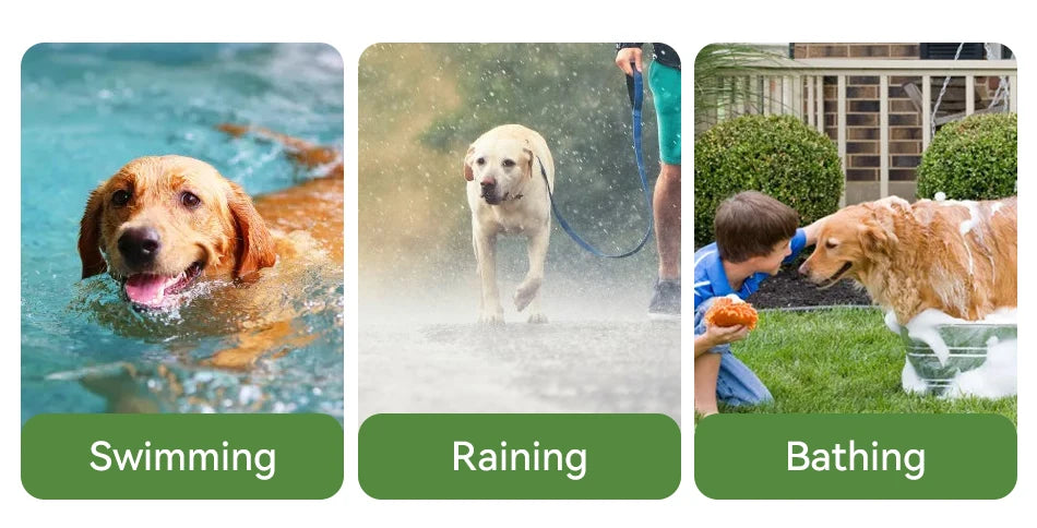 ROJECO Electric Dog Training Collar IPX7 Waterproof Dog Bark Stop Collar With Remote Control